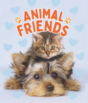 Library Binding Animal Friends Book