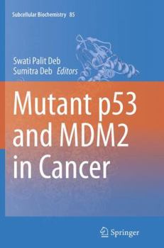 Paperback Mutant P53 and Mdm2 in Cancer Book