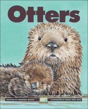 Hardcover Otters Book