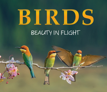 Hardcover Birds: Beauty in Flight (Photographs and Information) Book