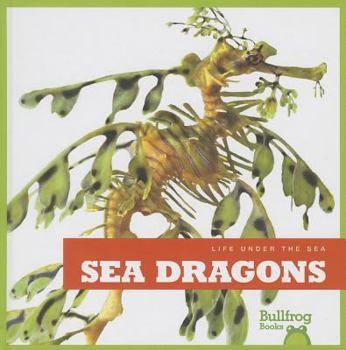 Sea Dragons - Book  of the Life Under the Sea