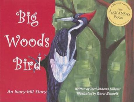 Big Woods Bird: An Ivory-bill Story