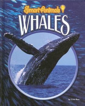 Whales - Book  of the Smart Animals