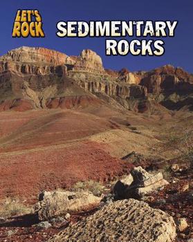 Paperback Sedimentary Rocks Book