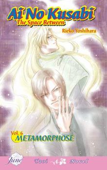 Paperback AI No Kusabi the Space Between Volume 6: Metamorphose (Yaoi Novel) Book