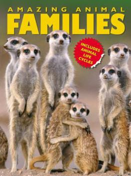 Paperback Amazing Animal Families Book