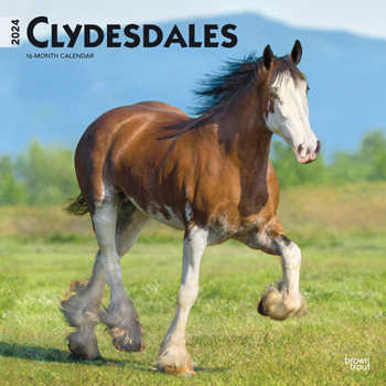 Clydesdales 2024 Square