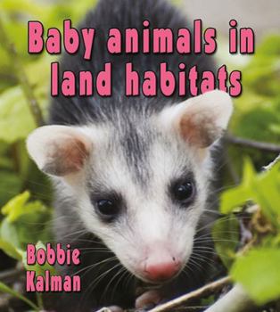 Paperback Baby Animals in Land Habitats Book