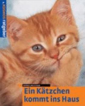 Paperback Ein Kätzchen kommt ins Haus. [German] Book
