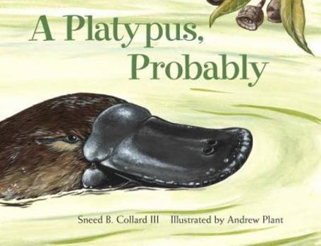 Hardcover A Platypus, Probably Book