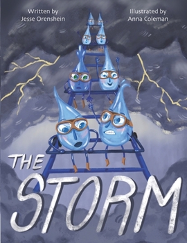 Paperback The Storm Book