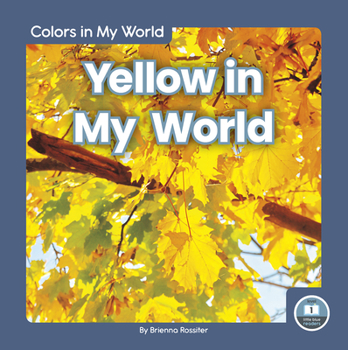 Library Binding Yellow in My World Book