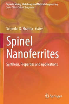 Paperback Spinel Nanoferrites: Synthesis, Properties and Applications Book