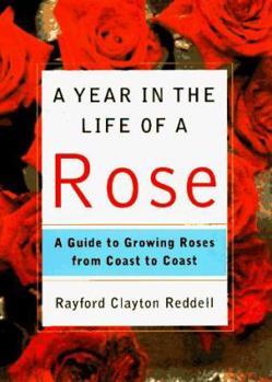 Hardcover A Year in the Life of a Rose: A Guide to Growing Roses from Coast to Coast Book