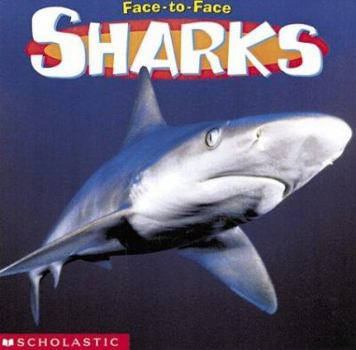 Paperback Sharks (Face To Face) Book