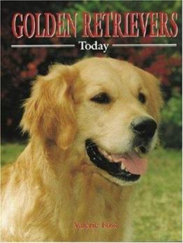 Hardcover Golden Retrievers Today Book