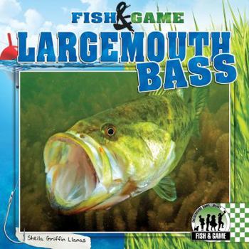 Largemouth Bass - Book  of the Fish & Game