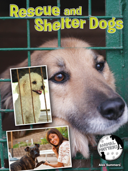 Paperback Rescue and Shelter Dogs Book