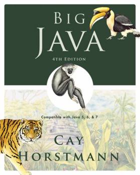 Paperback Big Java Book