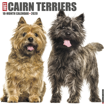 Calendar Just Cairn Terriers 2020 Wall Calendar (Dog Breed Calendar) Book