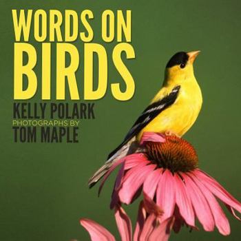 Paperback Words on Birds Book