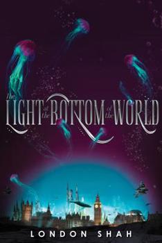 Hardcover The Light at the Bottom of the World Book