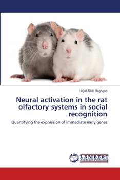 Paperback Neural activation in the rat olfactory systems in social recognition Book