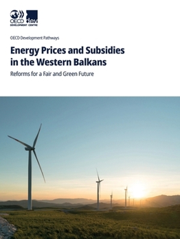 Paperback Energy Prices and Subsidies in the Western Balkans Book