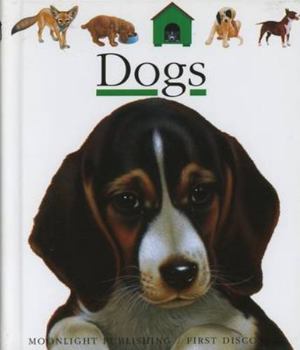 Hardcover Dogs (First Discovery) Book