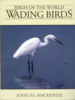 Paperback Wading Birds Book