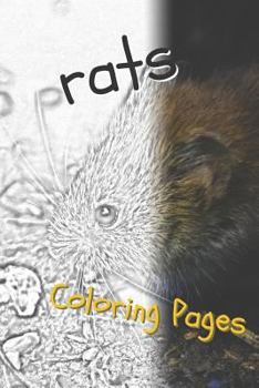Rat Coloring Pages: Beautiful Rats Drawings for Kids and for Adults Relaxation