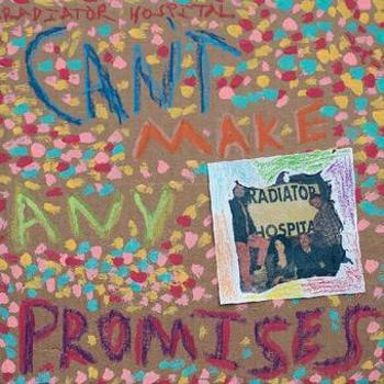 Vinyl Can't Make Any Promises Book