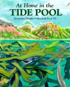 Hardcover At Home in the Tide Pool Book