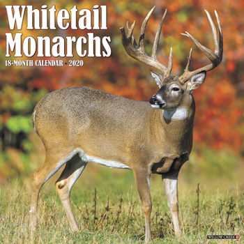 Calendar Whitetail Monarchs 2020 Wall Calendar Book