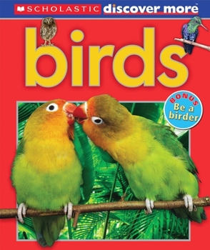 Hardcover Scholastic Discover More: Birds (Emergent Reader) Book