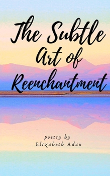 Paperback The Subtle Art of Reenchantment Book