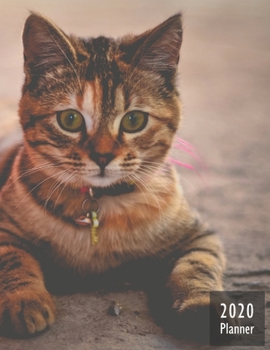 2020 PLANNER Kitten: Gifts For Cat Lovers Monthly Weekly Daily and Hourly Planners 2020 Calendar from Jan 1 2020 to Dec 2020  Note Pages To-Do List ... Themed Gifts Cover for Cat Lovers Version 1