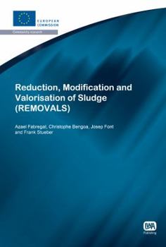 Paperback Reduction, Modification and Valorisation of Sludge Book