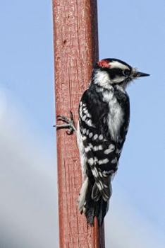 Downy Woodpecker, Birds of the World: Blank 150 Page Lined Journal for Your Thoughts, Ideas, and Inspiration