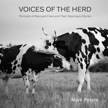 Hardcover Voices of the Herd: Portraits of Rescued Cows and Their Sanctuary Stories Book