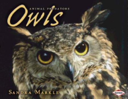 Hardcover Owls Book