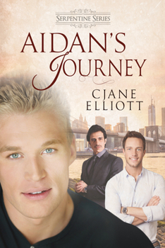 Paperback Aidan's Journey Book