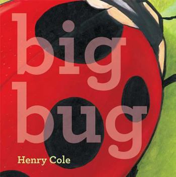 Hardcover Big Bug Book