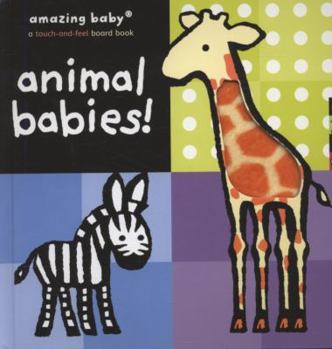 Amazing Baby: Animal Babies