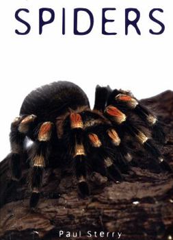 Hardcover Spiders Book