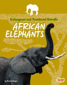 Hardcover African Elephants Book