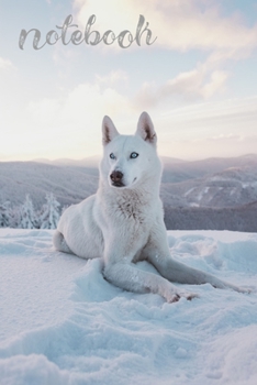 Notebook: White Wolf Snow Homework Book Notepad Notebook Composition and Journal Gratitude Dot Diary