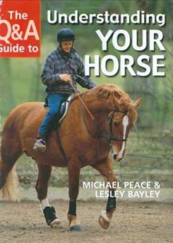 Hardcover The Q&A Guide to Understanding Your Horse Book