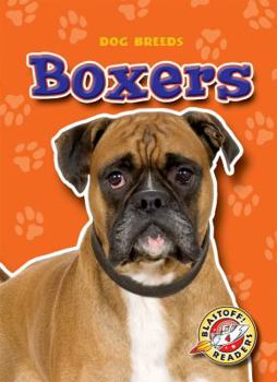 Boxers - Book  of the Dog Breeds