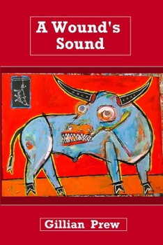 Paperback A Wound's Sound Book